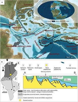 Linking the Variation of Sediment Accumulation Rate to Short Term Sea-Level Change Using Cyclostratigraphy: Case Study of the Lower Berriasian Hemipelagic Sediments in Central Tunisia (Southern Tethys)